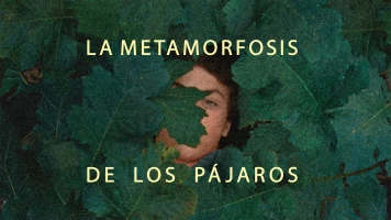 La metamorfosis de los pájaros