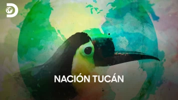 Nación tucán