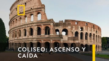 Coliseo: ascenso y caída
