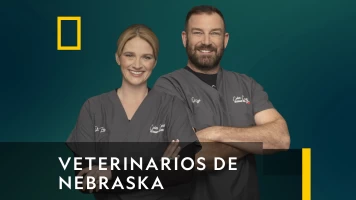 Veterinarios de Nebraska