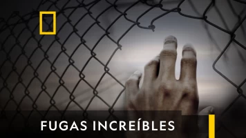 Fugas increíbles