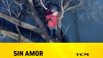Sin amor