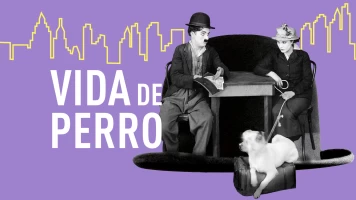 Vida de perro