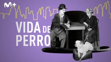 Vida de perro
