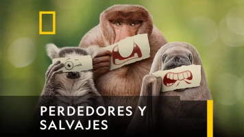 Perdedores y salvajes