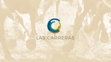 Carreras de caballos - Turf