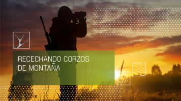 Recechando corzos de montaña