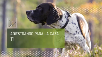 Adiestrando para la caza