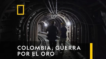 Colombia, Guerra Por El Oro