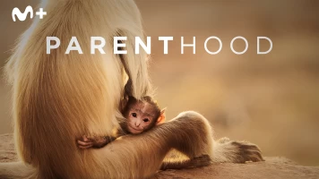 Parenthood