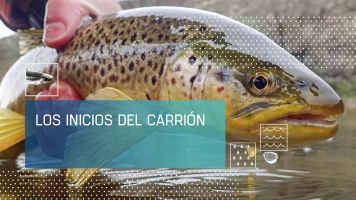 Los inicios del Carrión