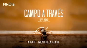 Campo a través. Mugaritz, intuyendo el camino
