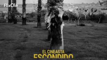 El cineasta escondido