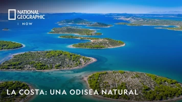 La Costa: Una Odisea Natural