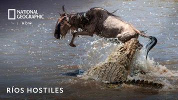 Ríos Hostiles