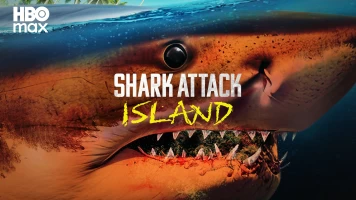 Tiburones: muerte en el paraíso