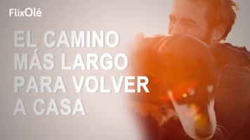 El camino más largo para volver a casa