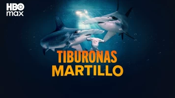 Tiburonas martillo