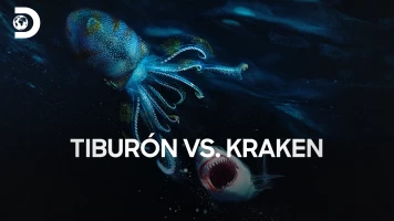 Tiburón vs. Kraken