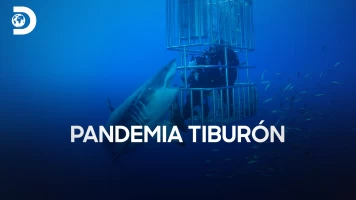 Pandemia tiburón
