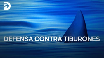 Defensa contra tiburones
