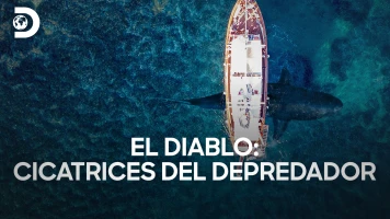 El Diablo: cicatrices del depredador