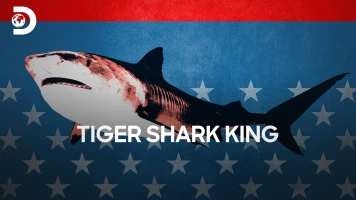El rey de los tiburones tigre