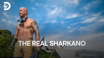 The Real Sharkano