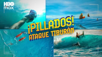 ¡Pillados! Ataque tiburón