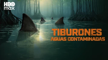Tiburones: aguas contaminadas