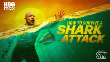 Cómo sobrevivir a un ataque de tiburón