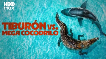 Tiburón vs. mega cocodrilo