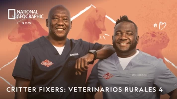 Critter fixers: Veterinarios rurales