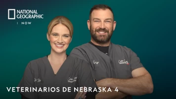 Veterinarios de Nebraska