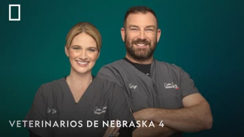 Veterinarios de Nebraska