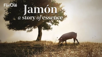 Jamón, a story of essence