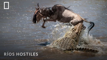 Ríos hostiles