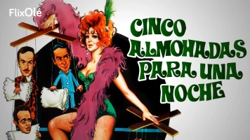 Cinco almohadas para una noche