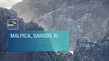 Malpica, sargos XL