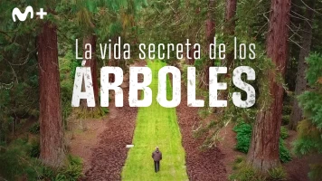 La vida secreta de los árboles
