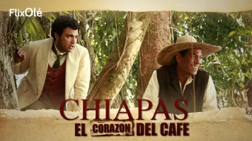Chiapas, el corazón del café
