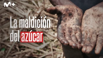 La maldición del azúcar