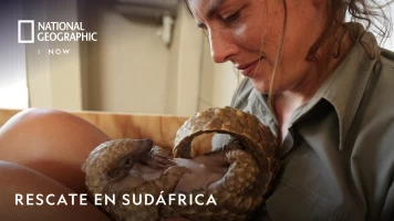 Rescate en Sudáfrica