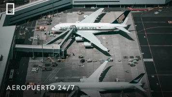 Aeropuerto 24/7