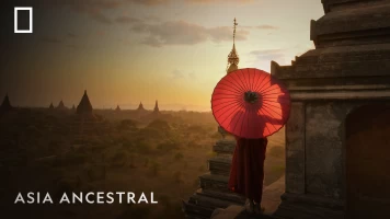 Asia Ancestral