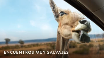 Encuentros muy salvajes