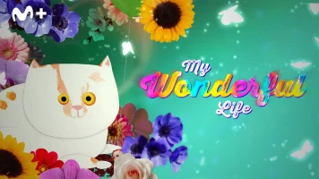 Mi vida maravillosa