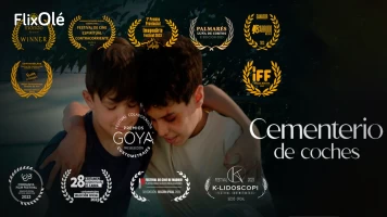 Cementerio de coches