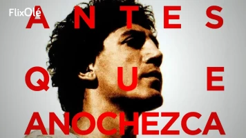 Antes que anochezca