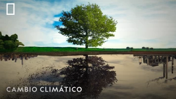 Cambio climático